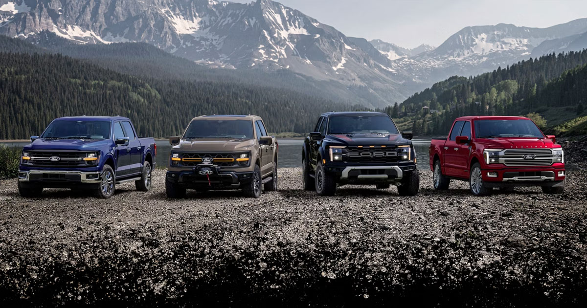 A line-up of Ford pickup trucks