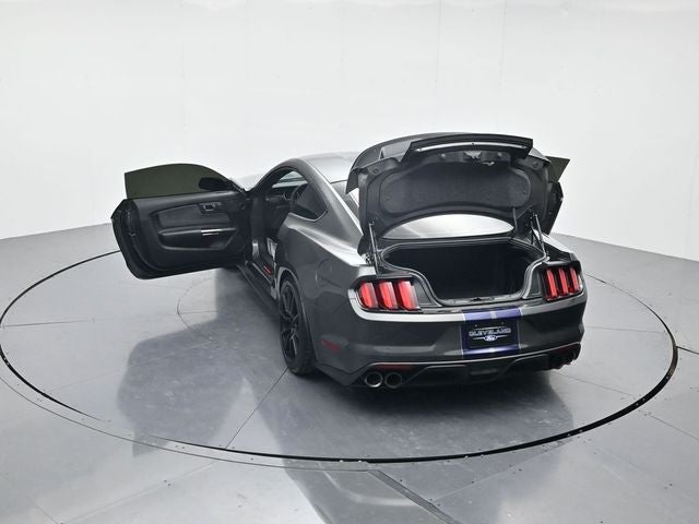 2019 Ford Mustang Shelby GT350