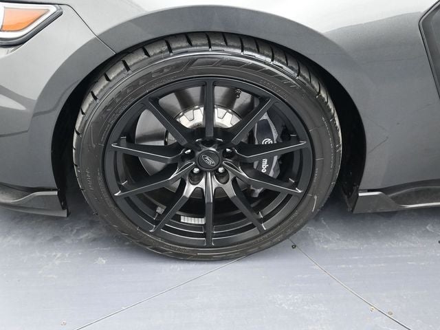 2019 Ford Mustang Shelby GT350