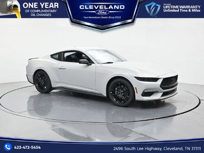 2026 Ford Mustang EcoBoost Nite Pony