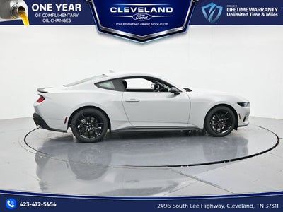 2026 Ford Mustang EcoBoost Nite Pony