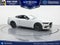 2026 Ford Mustang EcoBoost Nite Pony