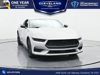 2026 Ford Mustang EcoBoost Nite Pony