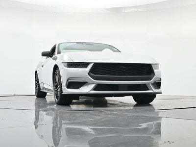 2026 Ford Mustang EcoBoost Nite Pony