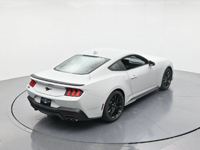 2026 Ford Mustang EcoBoost Nite Pony