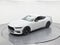 2026 Ford Mustang EcoBoost Nite Pony