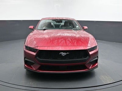2025 Ford Mustang EcoBoost