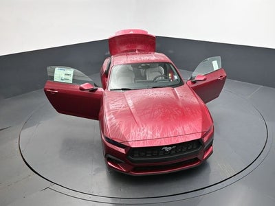 2025 Ford Mustang EcoBoost