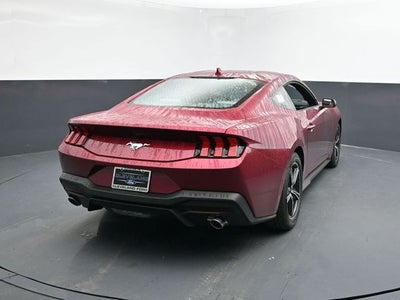 2025 Ford Mustang EcoBoost