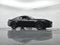 2026 Ford Mustang EcoBoost Premium Nite Pony