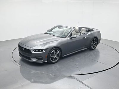 2024 Ford Mustang EcoBoost Premium