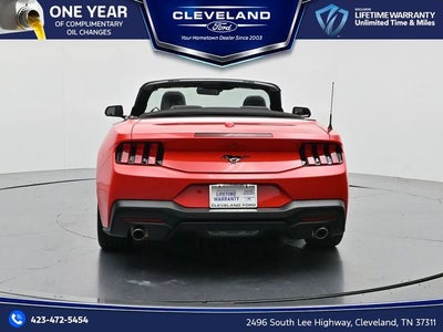 2026 Ford Mustang EcoBoost NITE PONY PACKAGE, CONVERTIBLE