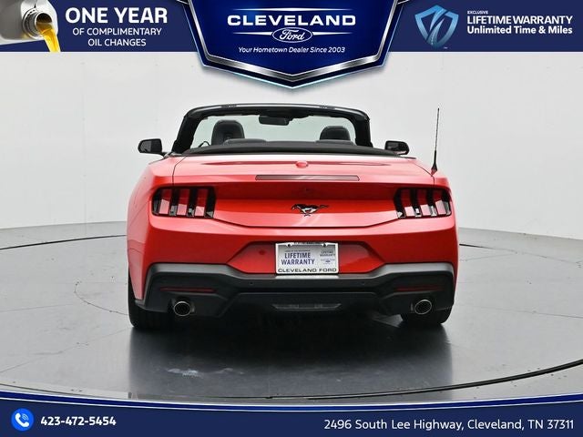 2026 Ford Mustang EcoBoost NITE PONY PACKAGE, CONVERTIBLE