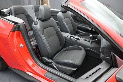 2026 Ford Mustang EcoBoost NITE PONY PACKAGE, CONVERTIBLE
