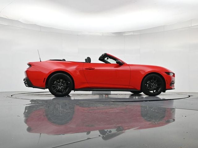 2026 Ford Mustang EcoBoost NITE PONY PACKAGE, CONVERTIBLE