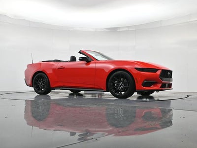 2026 Ford Mustang EcoBoost NITE PONY PACKAGE, CONVERTIBLE