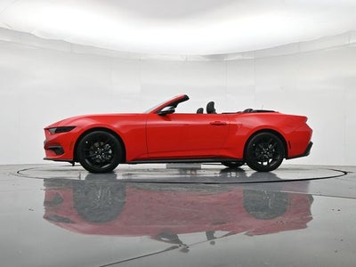 2026 Ford Mustang EcoBoost NITE PONY PACKAGE, CONVERTIBLE