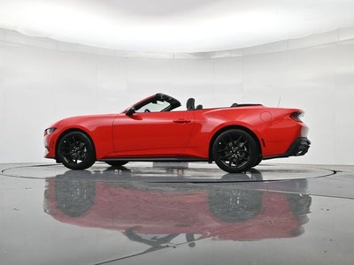 2026 Ford Mustang EcoBoost NITE PONY PACKAGE, CONVERTIBLE
