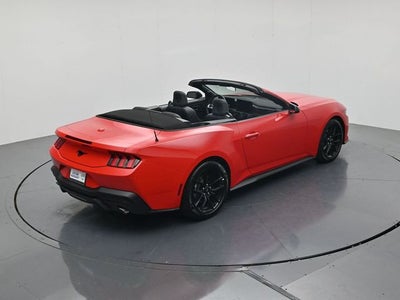 2026 Ford Mustang EcoBoost NITE PONY PACKAGE, CONVERTIBLE