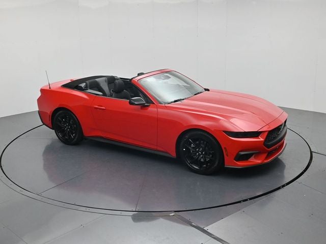 2026 Ford Mustang EcoBoost NITE PONY PACKAGE, CONVERTIBLE
