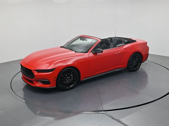 2026 Ford Mustang EcoBoost NITE PONY PACKAGE, CONVERTIBLE