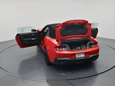 2026 Ford Mustang EcoBoost NITE PONY PACKAGE, CONVERTIBLE
