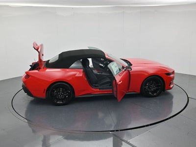 2026 Ford Mustang EcoBoost NITE PONY PACKAGE, CONVERTIBLE