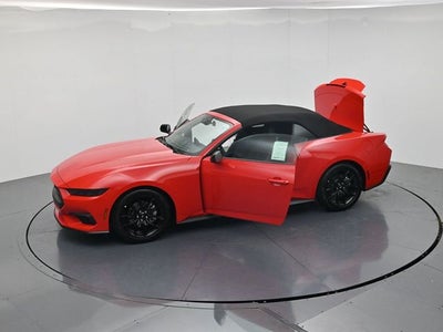 2026 Ford Mustang EcoBoost NITE PONY PACKAGE, CONVERTIBLE