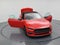 2026 Ford Mustang EcoBoost NITE PONY PACKAGE, CONVERTIBLE