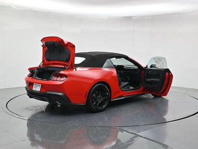 2026 Ford Mustang EcoBoost NITE PONY PACKAGE, CONVERTIBLE
