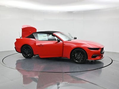 2026 Ford Mustang EcoBoost NITE PONY PACKAGE, CONVERTIBLE
