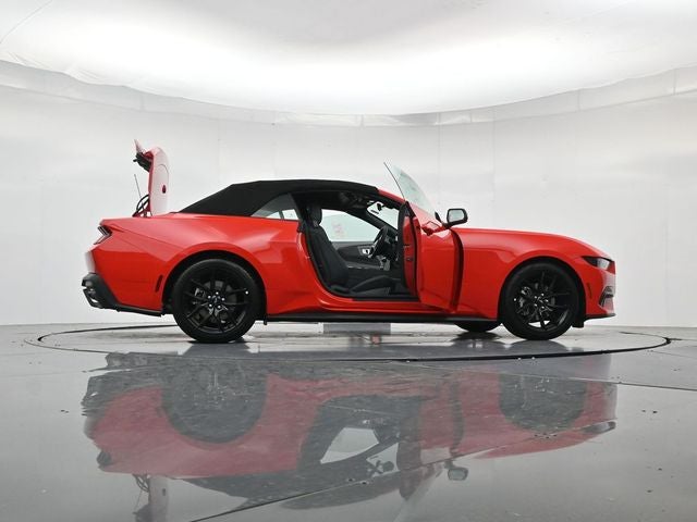 2026 Ford Mustang EcoBoost NITE PONY PACKAGE, CONVERTIBLE