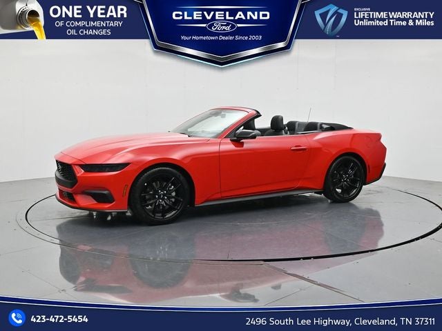 2026 Ford Mustang EcoBoost NITE PONY PACKAGE, CONVERTIBLE