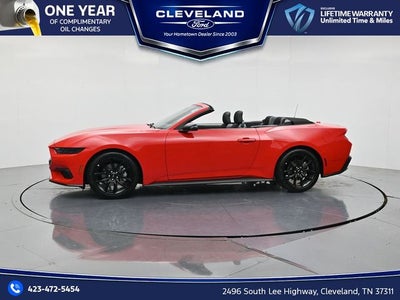 2026 Ford Mustang EcoBoost NITE PONY PACKAGE, CONVERTIBLE