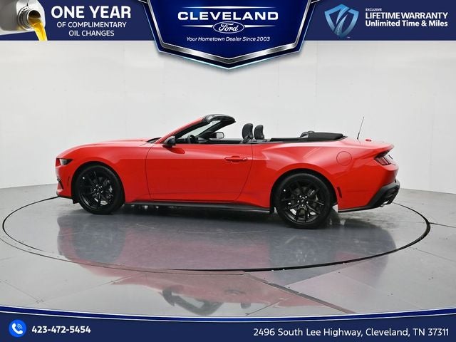 2026 Ford Mustang EcoBoost NITE PONY PACKAGE, CONVERTIBLE