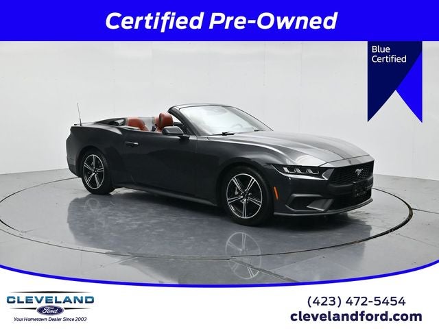 2024 Ford Mustang's photo