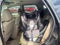 2009 Ford Escape Limited