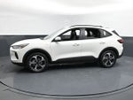 2025 Ford Escape Hybrid ST-Line Select