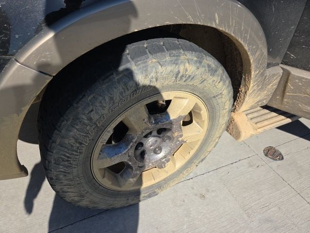 2004 Ford Expedition Eddie Bauer