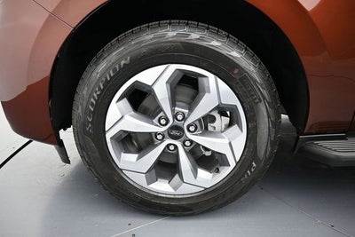 2027 Ford Expedition Active