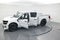 2026 Ford F-150 STX LOBO