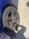 2005 Mazda Mazda6 s Sport Sport
