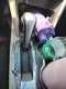 2011 Chevrolet Equinox LT w/1LT