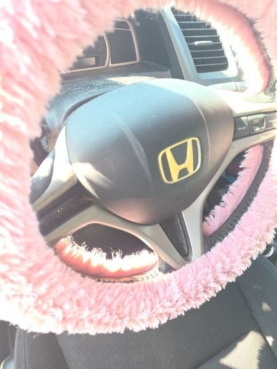 2010 Honda Civic LX-S