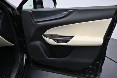 2024 Lexus NX 250 Premium