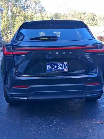 2024 Lexus NX 250 Premium