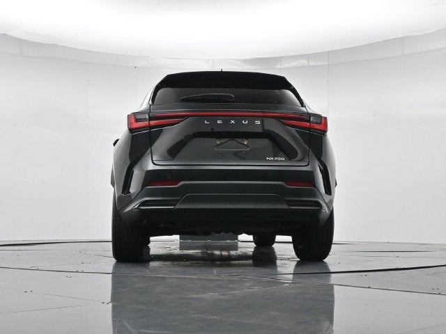 2024 Lexus NX 250 Premium
