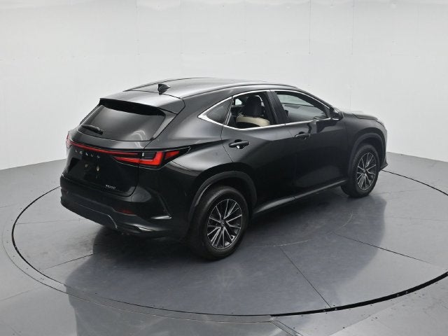 2024 Lexus NX 250 Premium