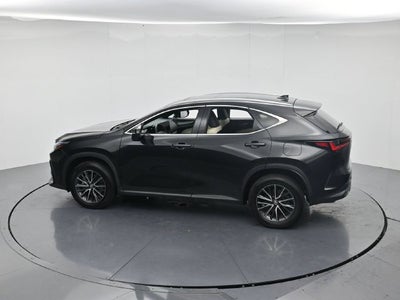 2024 Lexus NX 250 Premium
