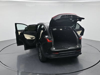 2024 Lexus NX 250 Premium